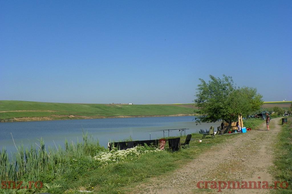 Concurs Party Cup - Sulimanu - 1010546.jpg